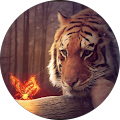 Mag Avatar